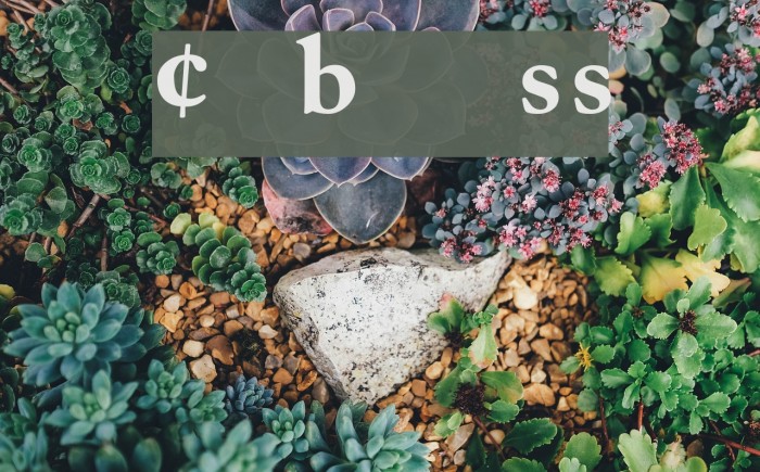 CaslonProBlackSSK Example 3