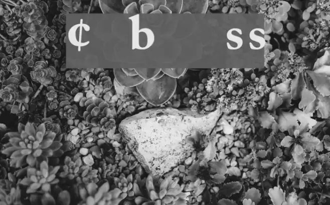 CaslonProBlackSSK Font examples