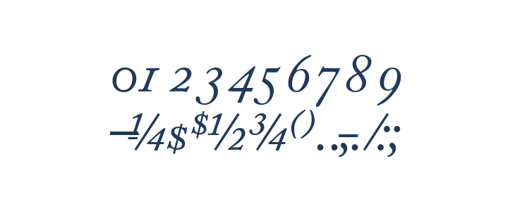 CaslonProSSK Italic Other Characters