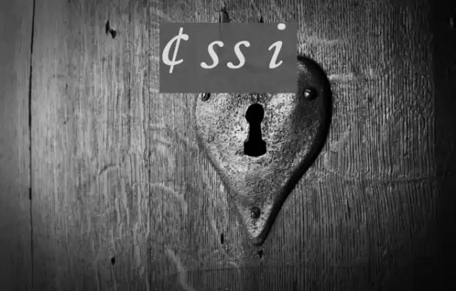 CaslonProSSK Italic Font examples