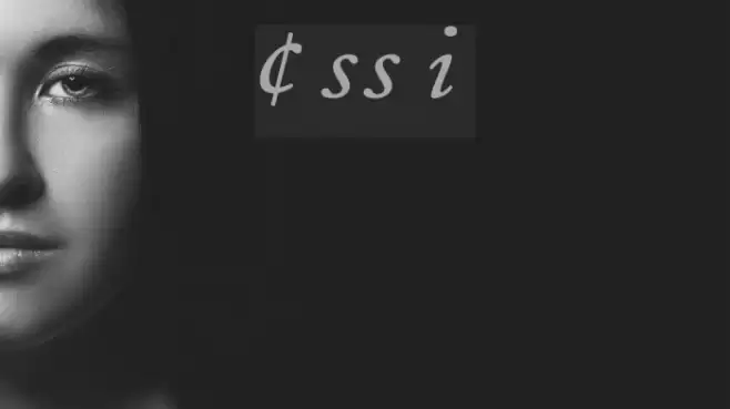 CaslonProSSK Italic Font examples