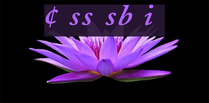 CaslonProSSK SemiBoldItalic Font examples
