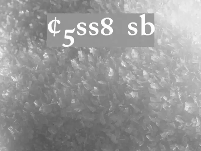 CaslonProSSK SemiBold フォント examples