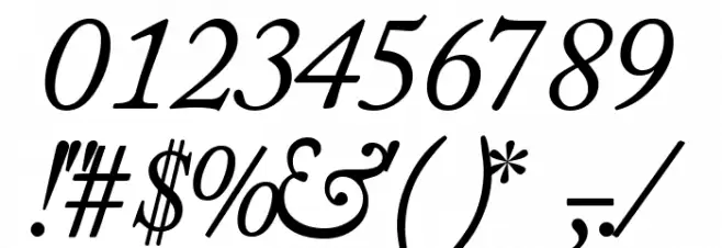 CaslonSSK Italic Font OTHER CHARS