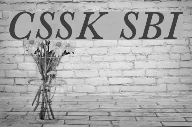 CaslonSSK SemiBoldItalic Font examples