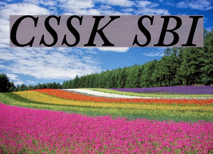 CaslonSSK SemiBoldItalic Font examples
