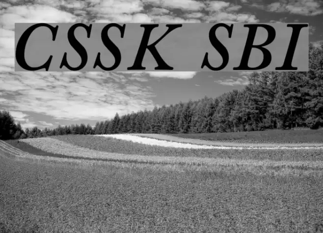 CaslonSSK SemiBoldItalic Font examples