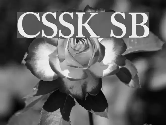 CaslonSSK SemiBold Font examples