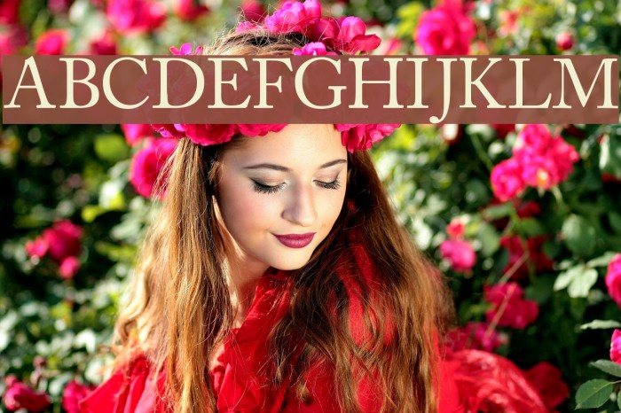CaslonSSK Font examples
