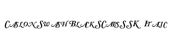 CaslonSwashBlackSCapsSSK Italic Font