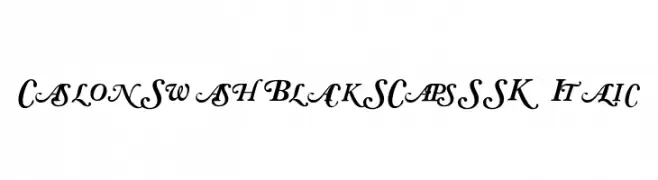 CaslonSwashBlackSCapsSSK Italic  baixar fontes gratis
