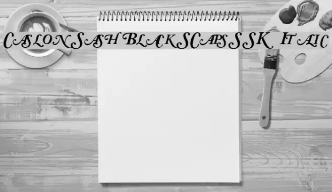 CaslonSwashBlackSCapsSSK Italic Font examples