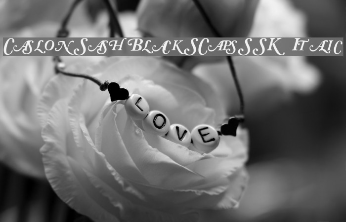 CaslonSwashBlackSCapsSSK Italic Font examples