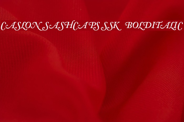 CaslonSwashCapsSSK BoldItalic Example 1
