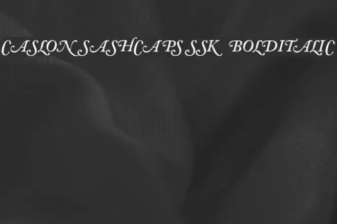 CaslonSwashCapsSSK BoldItalic Font examples