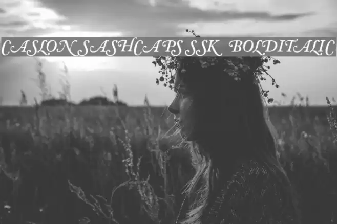 CaslonSwashCapsSSK BoldItalic Font examples