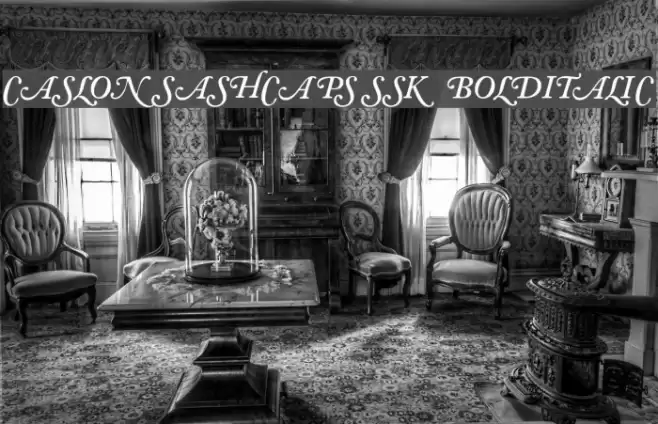 CaslonSwashCapsSSK BoldItalic Font examples
