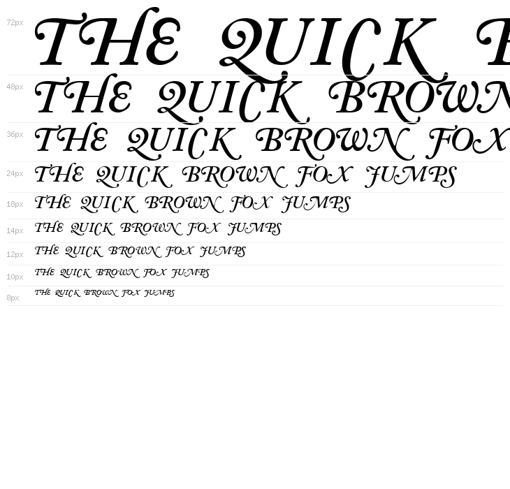 CaslonSwashCapsSSK BoldItalic Waterfall