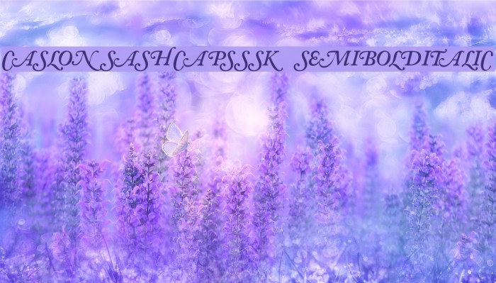 CaslonSwashCapsSSK SemiBoldItalic Font examples