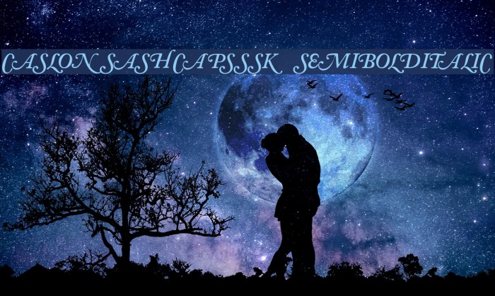 CaslonSwashCapsSSK SemiBoldItalic Font examples
