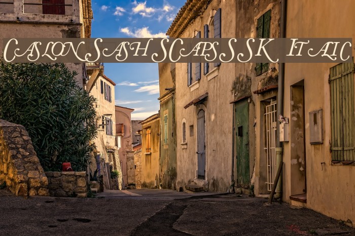 CaslonSwashSCapsSSK Italic Font examples