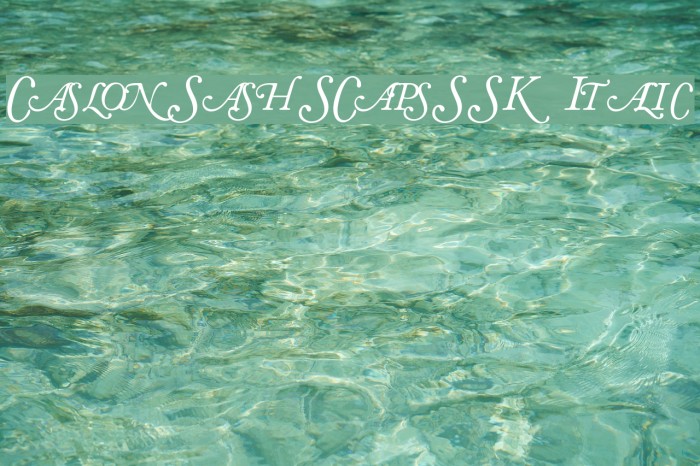 CaslonSwashSCapsSSK Italic Font examples