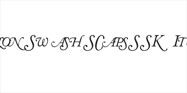 CaslonSwashSCapsSSK Italic Logo