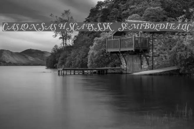 CaslonSwashSCapsSSK SemiBoldItalic Font examples