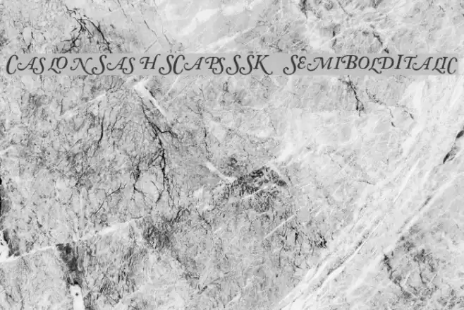 CaslonSwashSCapsSSK SemiBoldItalic Font examples