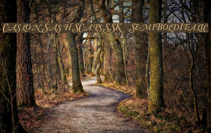 CaslonSwashSCapsSSK SemiBoldItalic Font examples