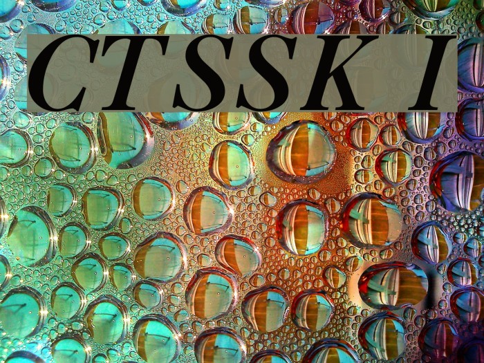 CaslonThreeSSK Italic Font examples
