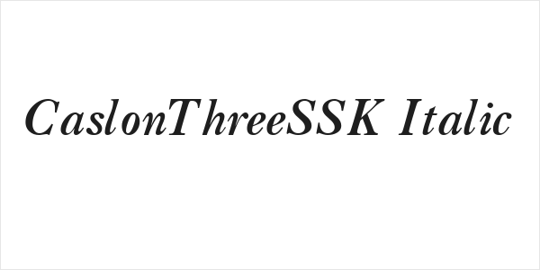 CaslonThreeSSK Italic Logo