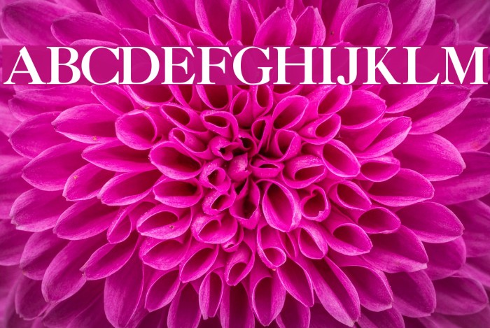 CaslonThreeSSK Font examples