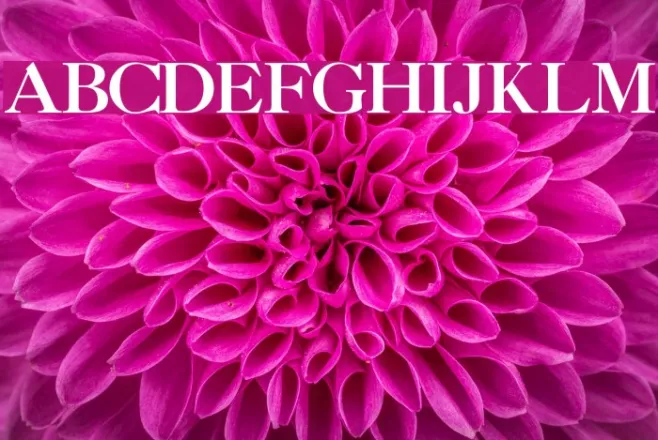 CaslonThreeSSK Example 1