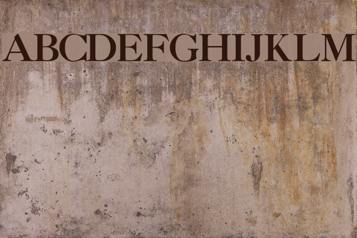 CaslonThreeSSK Font examples
