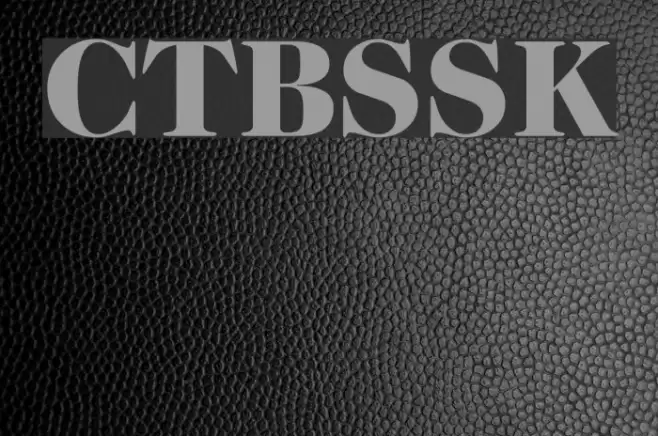 CaslonTwoBlackSSK Font examples