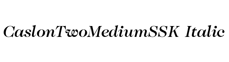 CaslonTwoMediumSSK Italic Font
