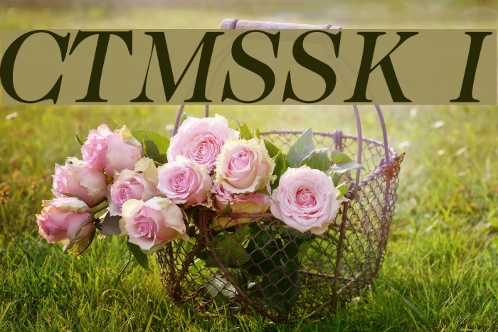 CaslonTwoMediumSSK Italic Font examples