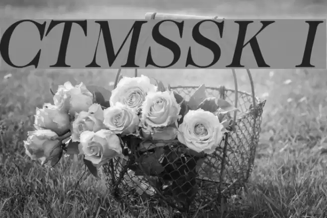 CaslonTwoMediumSSK Italic Font examples