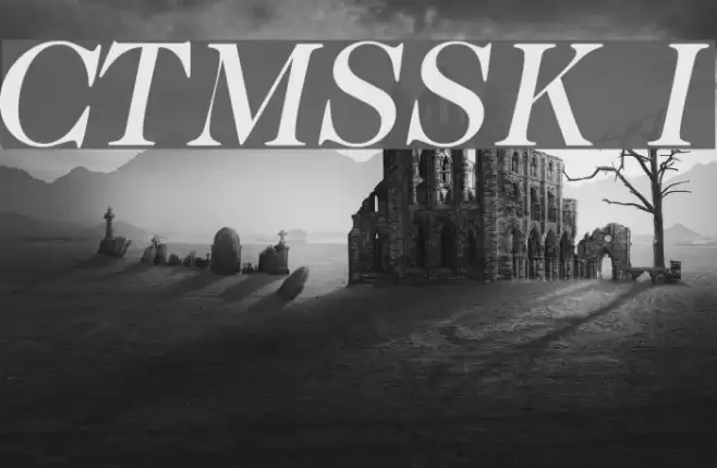 CaslonTwoMediumSSK Italic Font examples