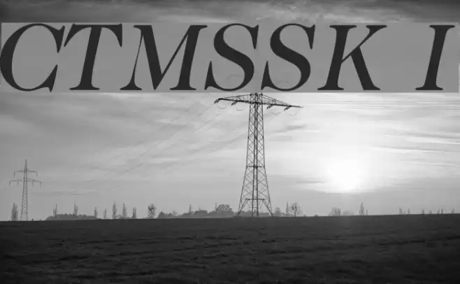 CaslonTwoMediumSSK Italic Font examples