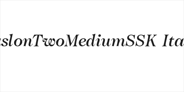 CaslonTwoMediumSSK Italic Logo