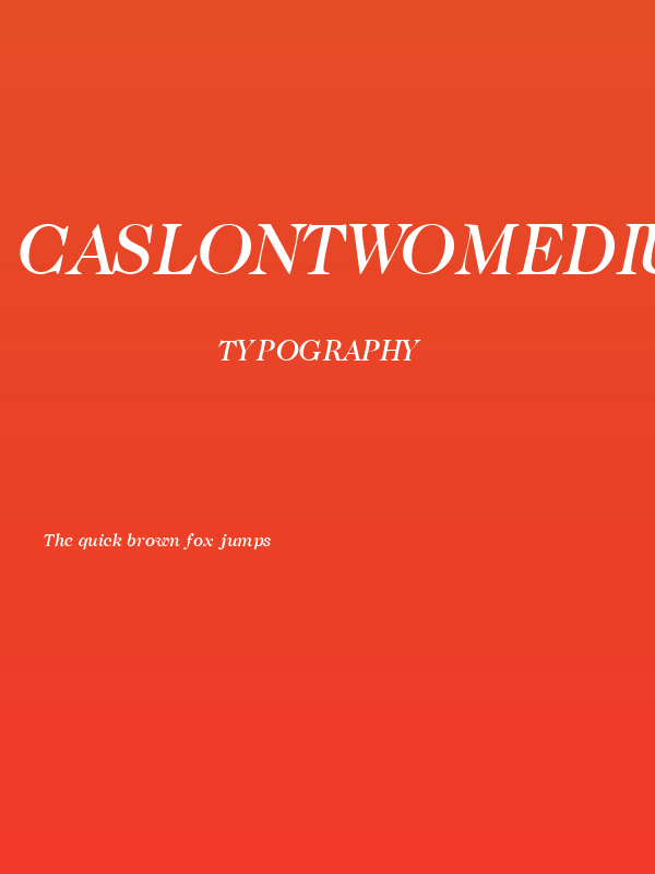 CaslonTwoMediumSSK Italic Poster