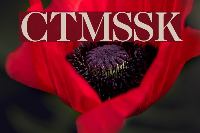 CaslonTwoMediumSSK Font examples