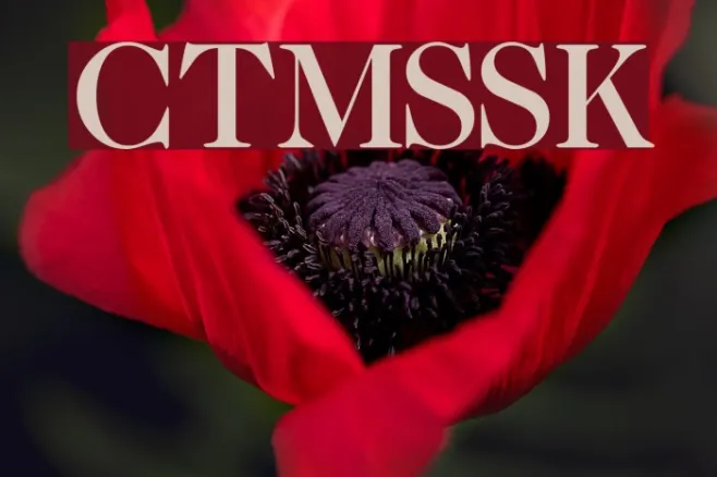 CaslonTwoMediumSSK Example 1