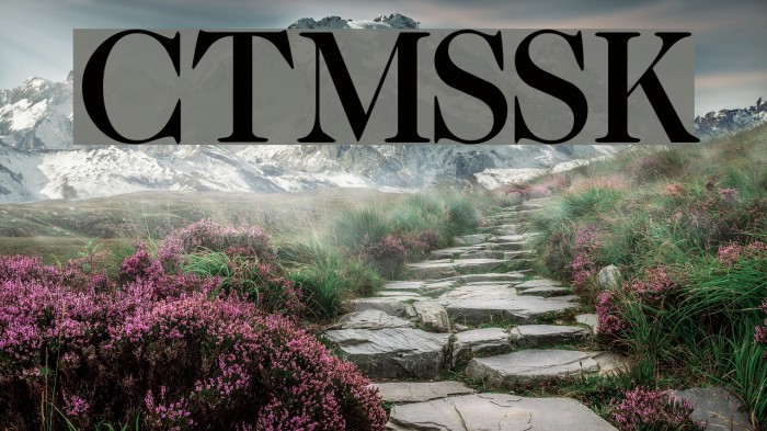 CaslonTwoMediumSSK Font examples