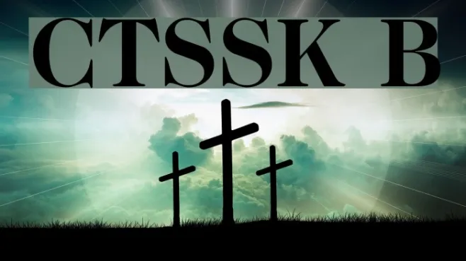 CaslonTwoSSK Bold Example 1