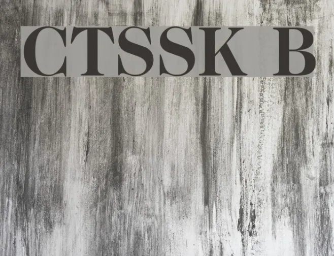 CaslonTwoSSK Bold Example 2