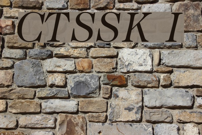 CaslonTwoSSK Italic Font examples