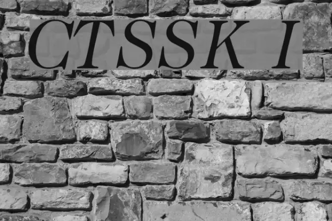 CaslonTwoSSK Italic Font examples